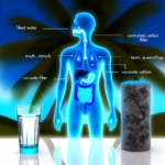Warum Wasser unersetzlich für Ihre Gesundheit ist: Die vitalen Funktionen und Reinheit von hochwertigem Trinkwasser entdecken